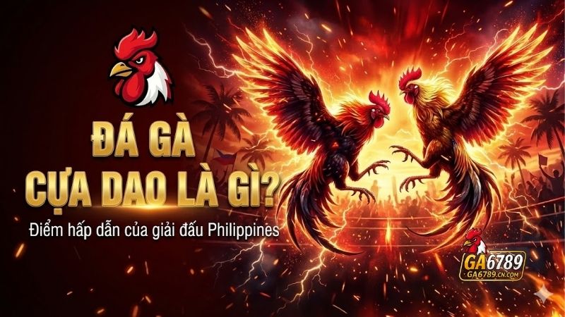 Đá gà cựa dao là gì? Điểm hấp dẫn của giải đấu Philippines 2 da-ga-cua-dao-la-gi-diem-hap-dan-cua-giai-dau-philippines