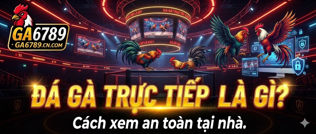 Đá gà trực tiếp là gì? Cách xem an toàn tại nhà 2 da-ga-truc-tiep-la-gi-cach-xem-an-toan-tai-nha