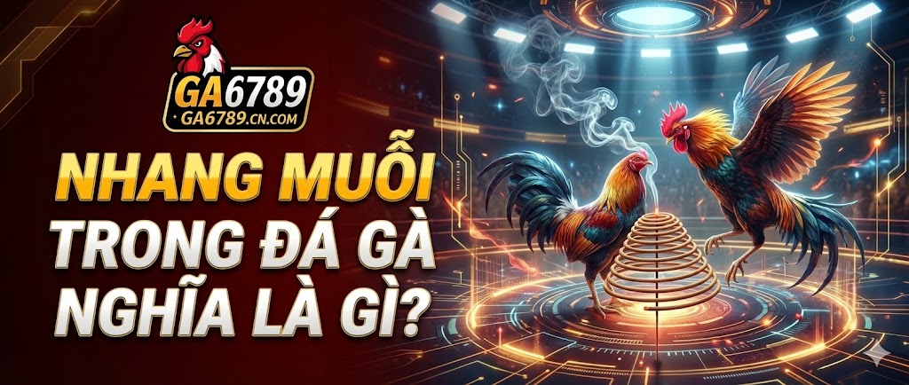 Nhang muỗi trong đá gà nghĩa là gì? Bí mật về thời gian 2 nhang-muoi-trong-da-ga-nghia-la-gi