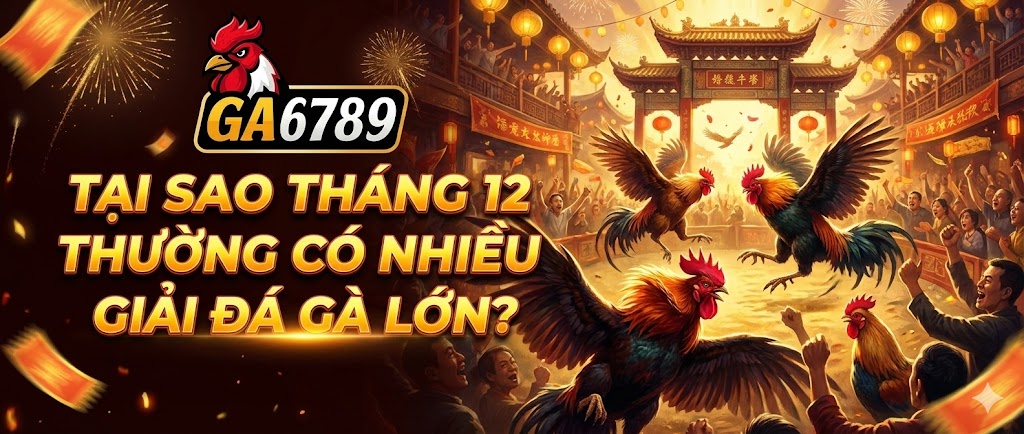 Tại sao tháng 12 thường có nhiều giải đá gà lớn và hấp dẫn? 2 tai-sao-thang-12-thuong-co-nhieu-giai-da-ga-lon