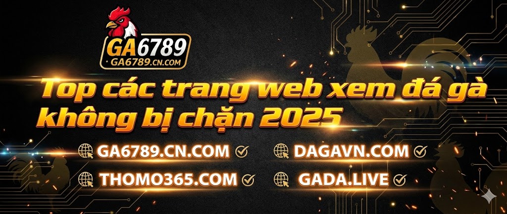 Top các trang web xem đá gà không bị chặn 2025 uy tín nhất 2 top-cac-trang-web-xem-da-ga-khong-bi-chan-2025