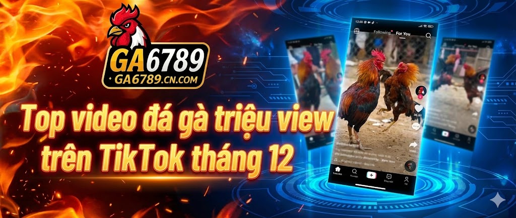 Top video đá gà triệu view trên TikTok tháng 12 năm 2025 2 top-video-da-ga-trieu-view-tren-tiktok-thang-12